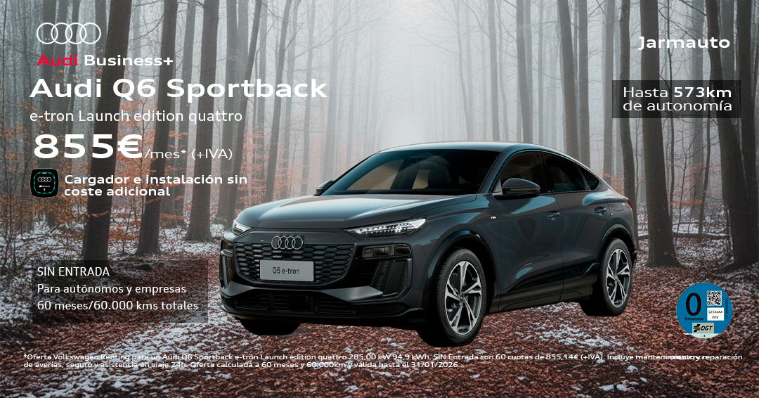 Audi Q6 e-tron Enero 2025 Business 24 Audi Q6 e-tron Enero 2025 Business 24